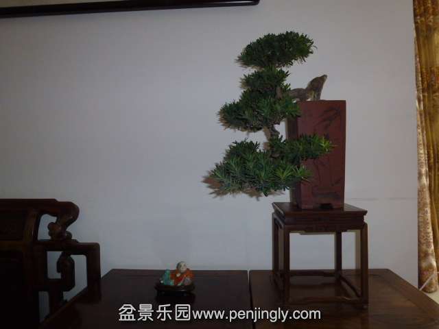 P1050856.JPG