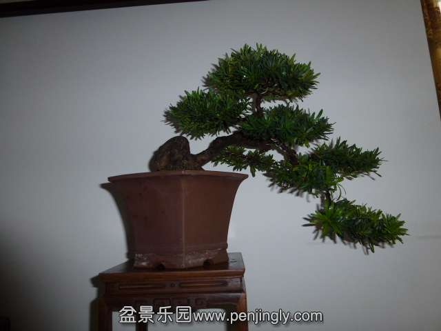 P1050867.JPG