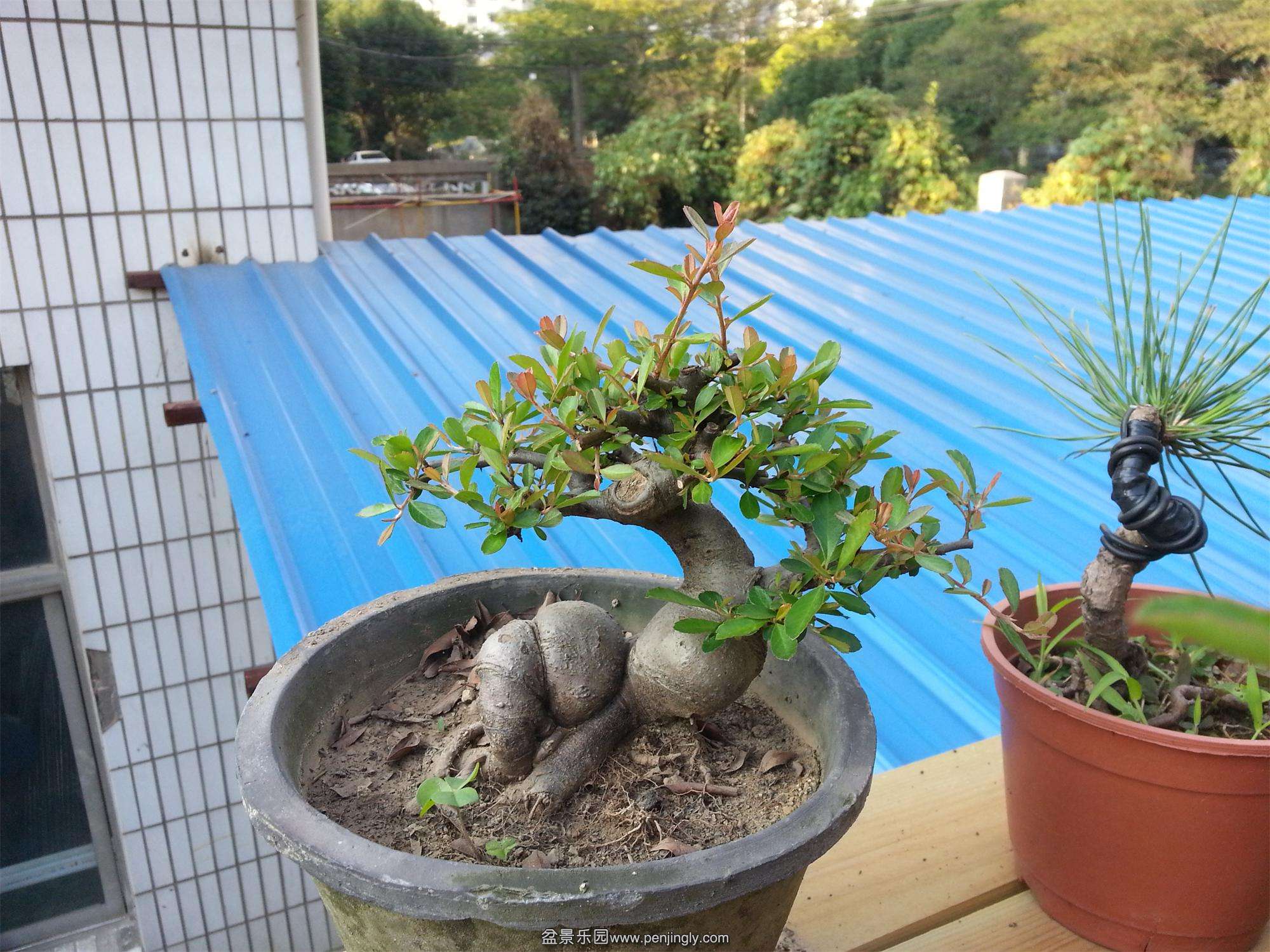 20141010_072515.jpg
