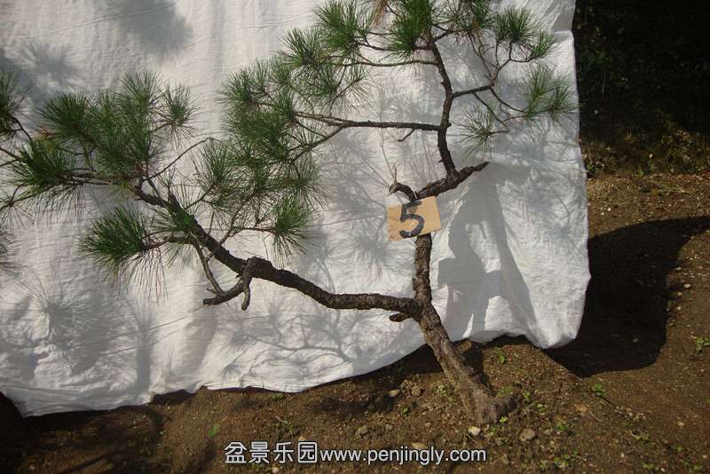 DSC02760_.jpg