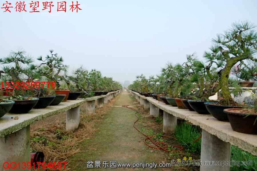 AYV94CZM2Y6T0((C_M(66XY.jpg
