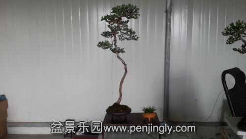 20141011_071041.jpg