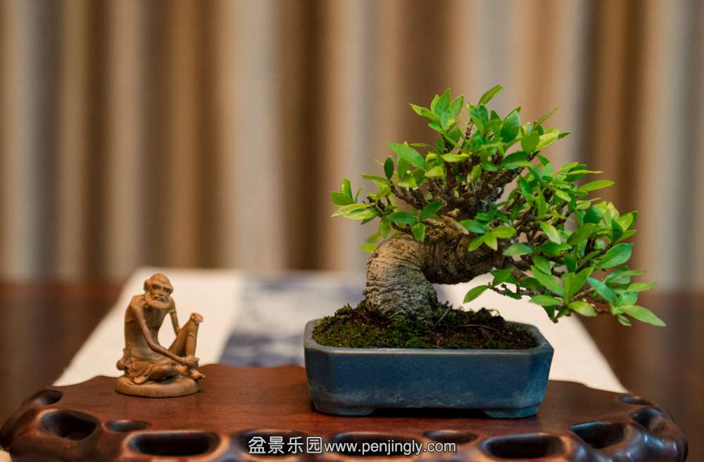 ӻ (1).jpg