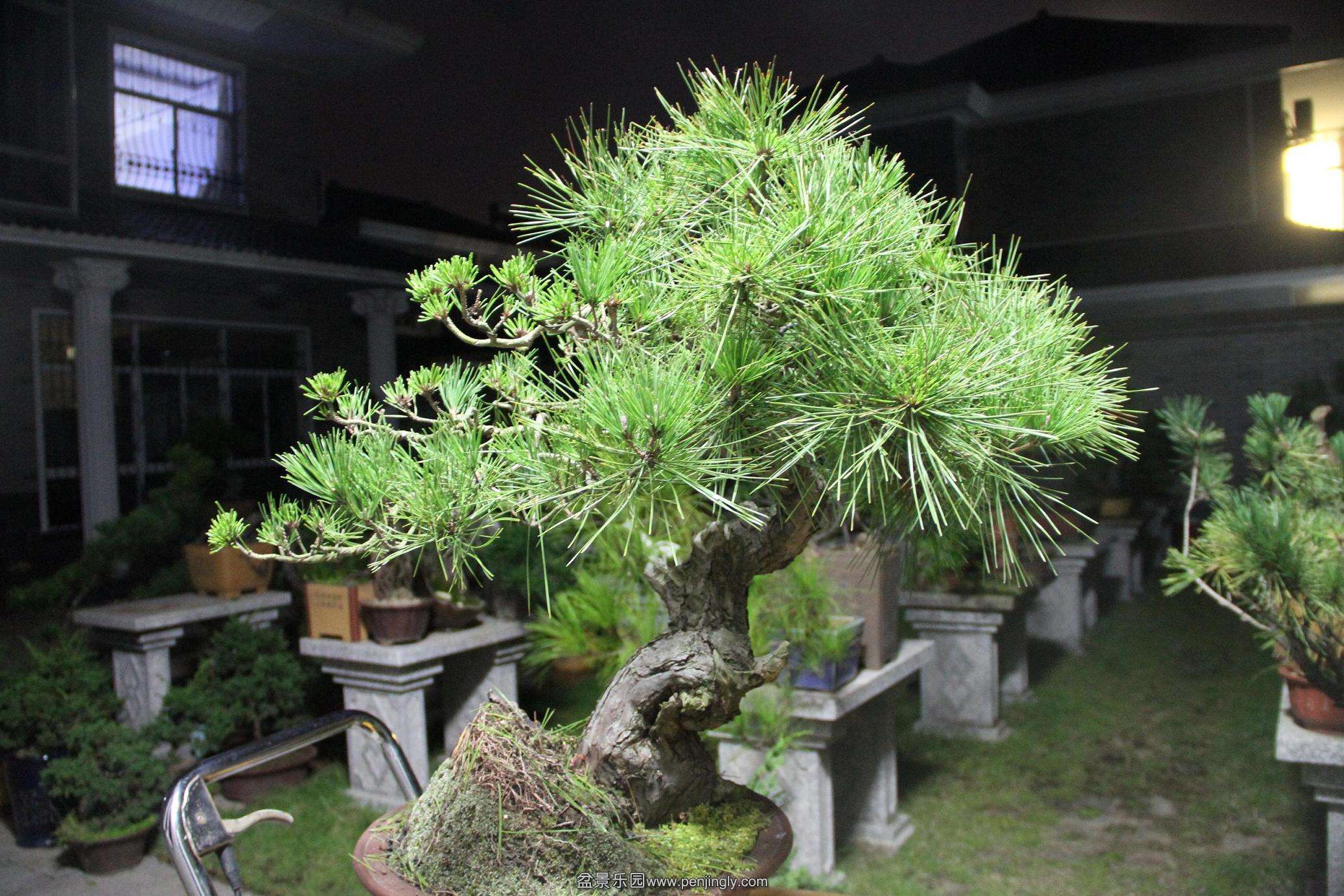 20141011ĳ 002.jpg