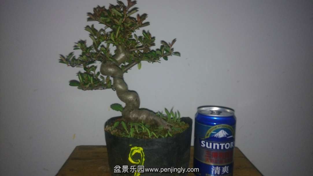 IMG_20141012_200557.jpg