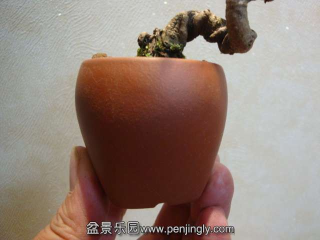 DSC09224.JPG