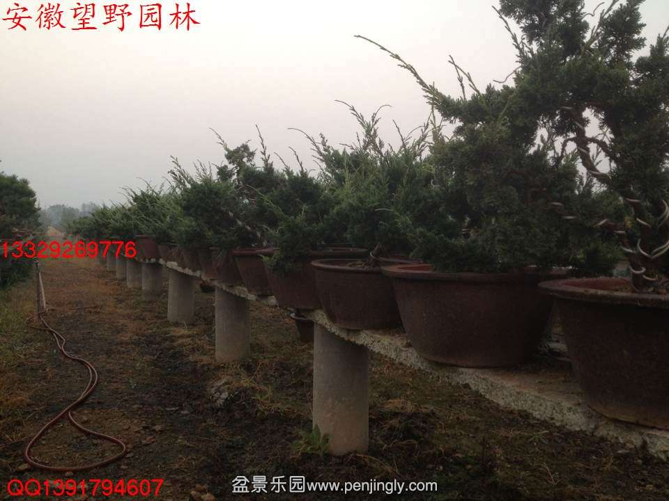 5B879FA393E323D21A3586DE13AEAD62.jpg