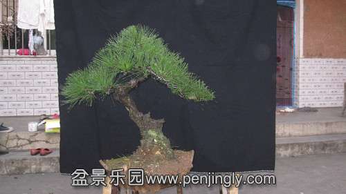 IMG_7990_.jpg