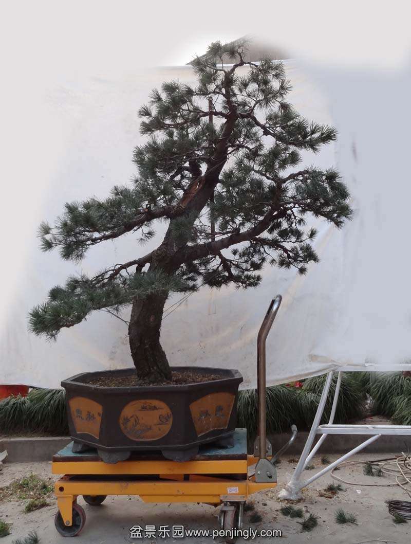 04.jpg