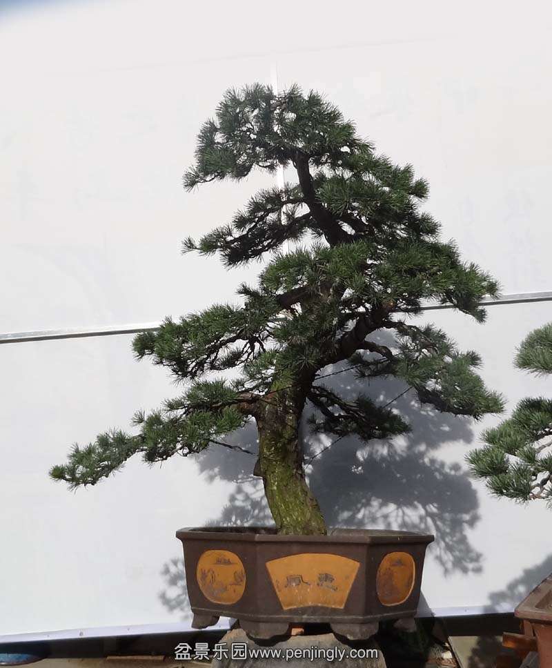 05.jpg