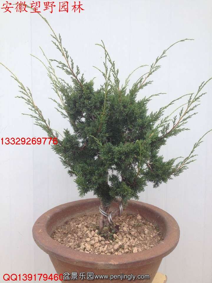 526CB97B1740DD55B035D03F0A50DEBE.jpg