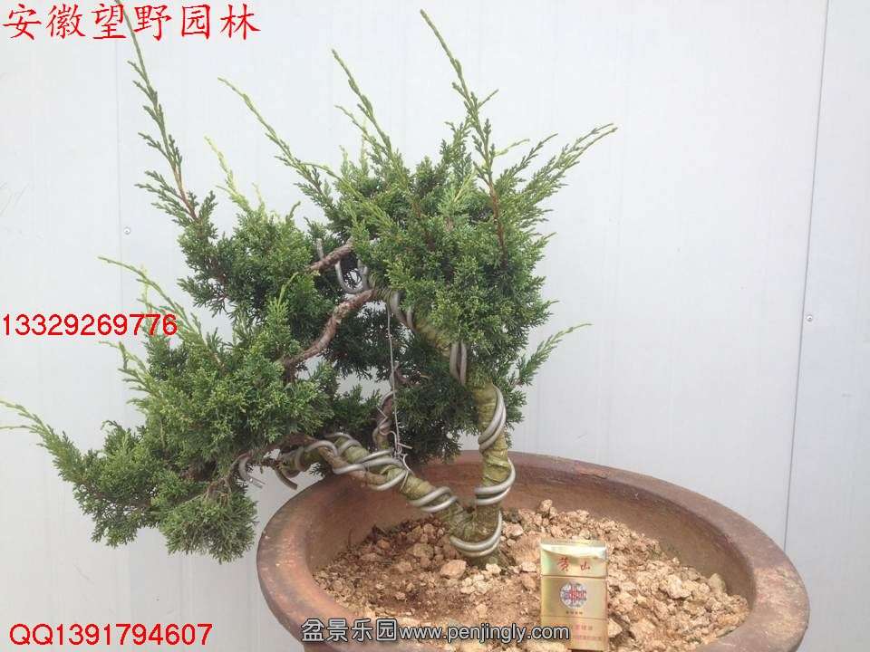 F4DB2C3E05F943CB04D0F479B49FE0E1.jpg