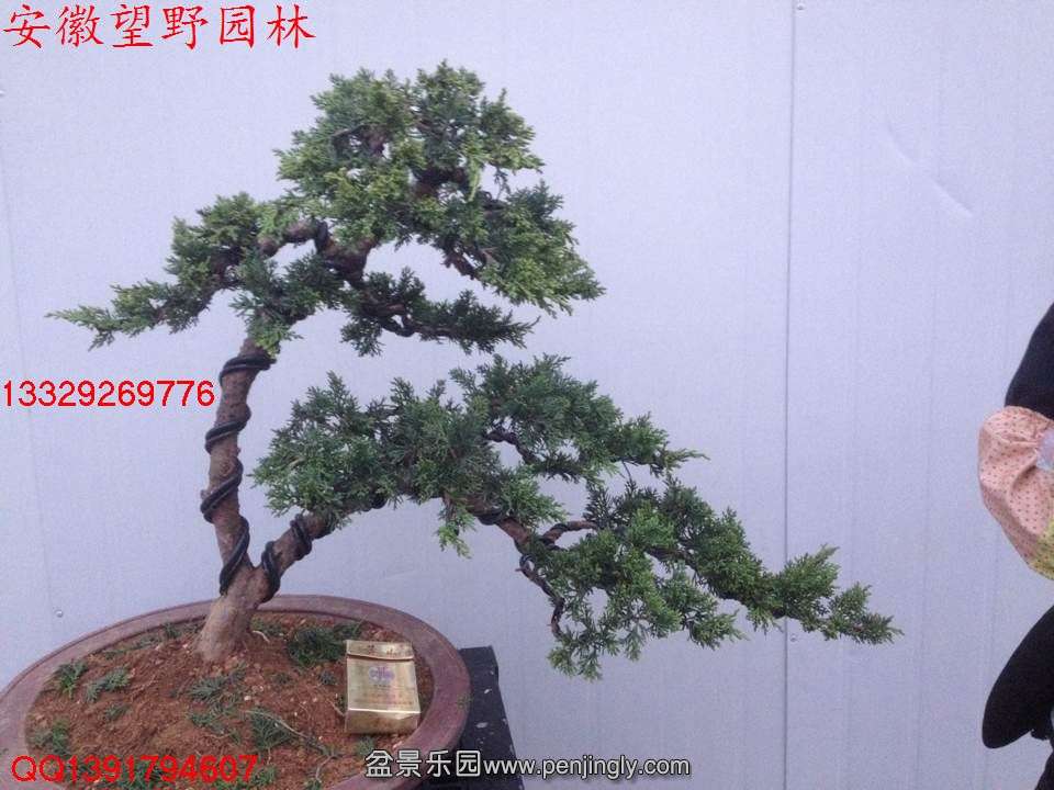 9A0D57149E674E99A19DADCD58D6F890.jpg