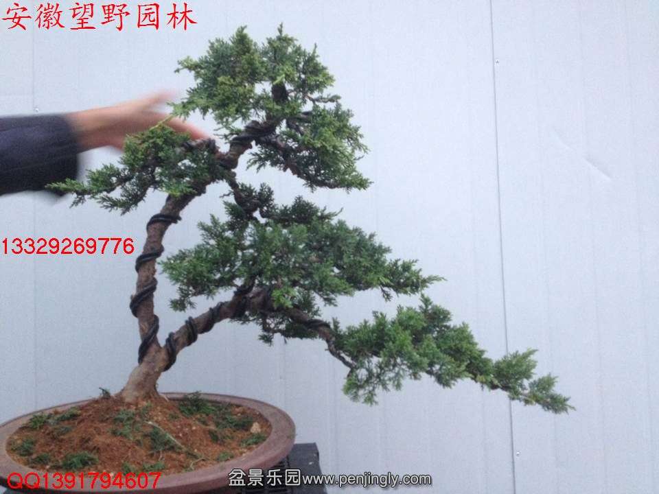 D45FFCA11C616DCC09DA54B969AD2627.jpg