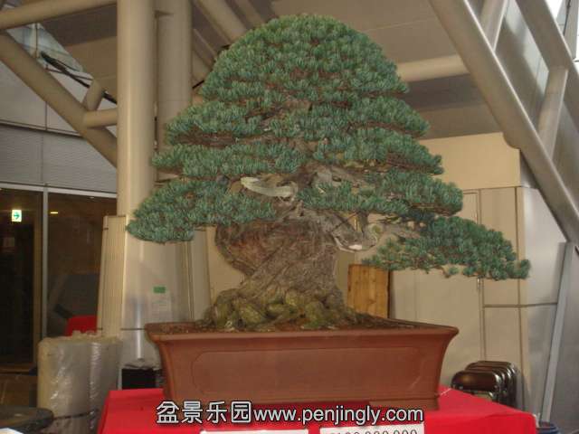 DSC02917.JPG