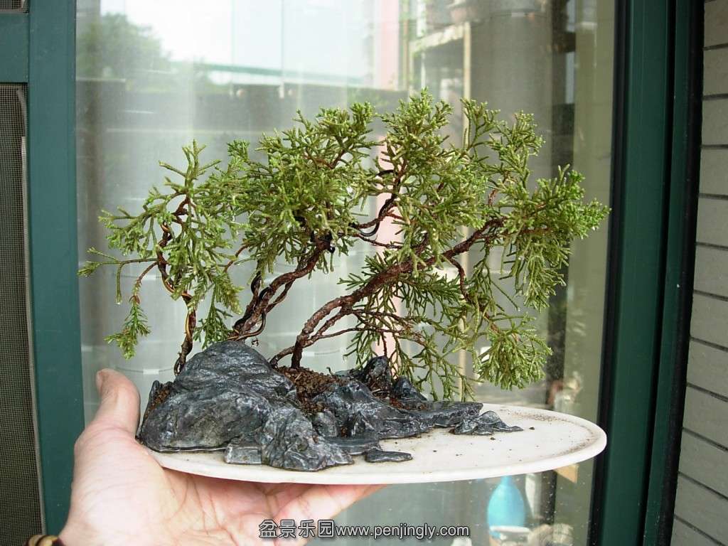 conew_dscn0054.jpg