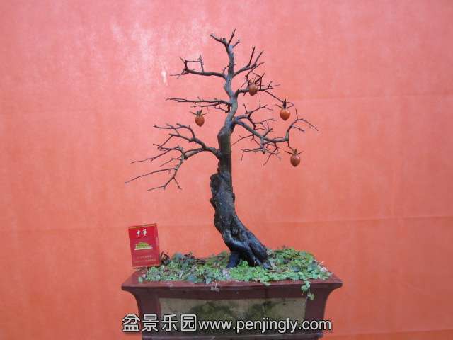 IMG_6635.jpg