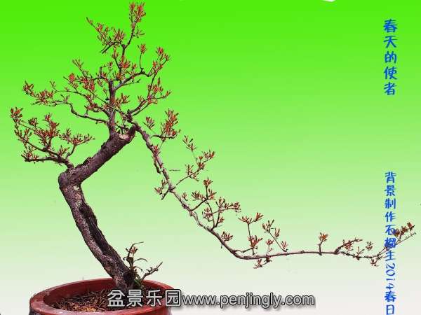 190415qgsi80eixsxh07zt.jpg.thumb.jpg