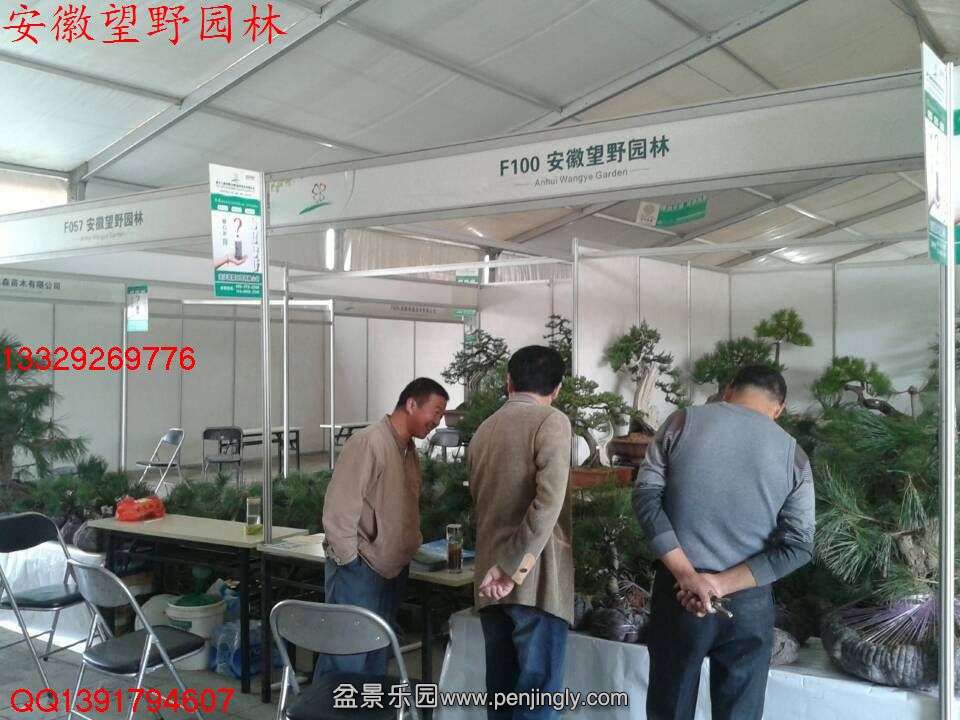 7FE8EECD5B5CE5ED6428D262625B29AB.jpg