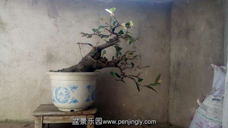 IMG_20141023_131926.jpg