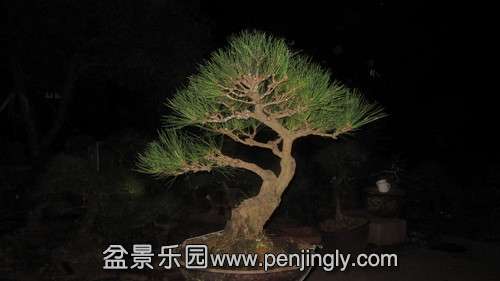 IMG_8079_.jpg