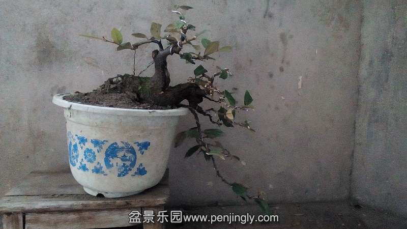 IMG_20141024_172433.jpg
