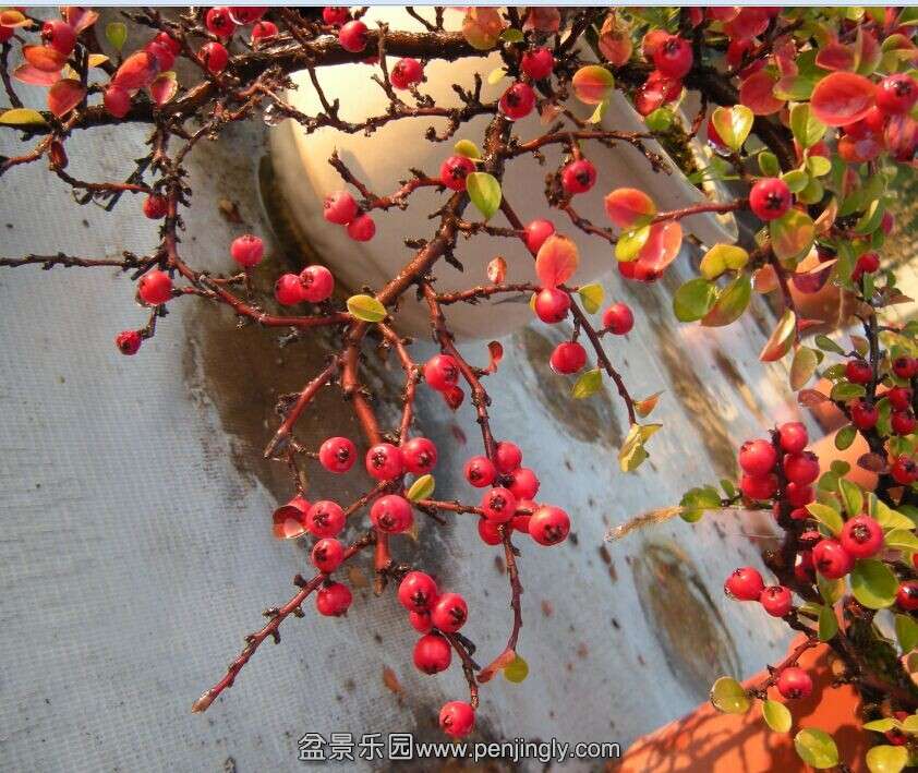 QQͼƬ20141024213653.jpg
