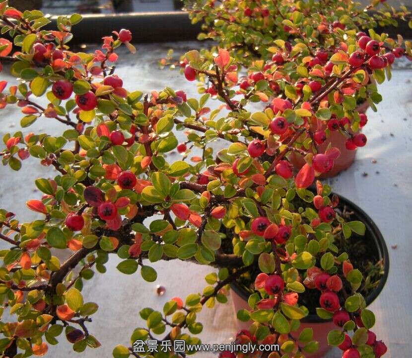 QQͼƬ20141024213701.jpg
