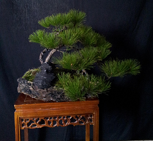 20141022_150458_1.jpg