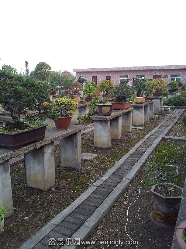 20141022_164758.jpg