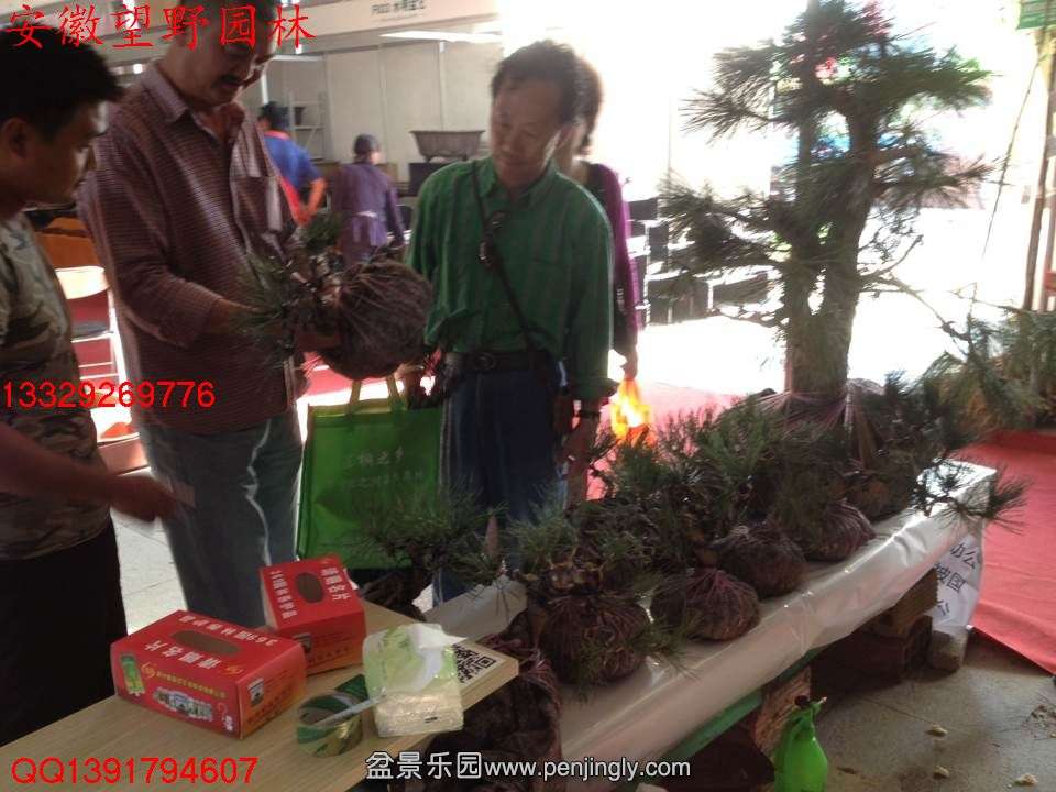 9BA883E15AED28F478359BF34D50FAFE.jpg