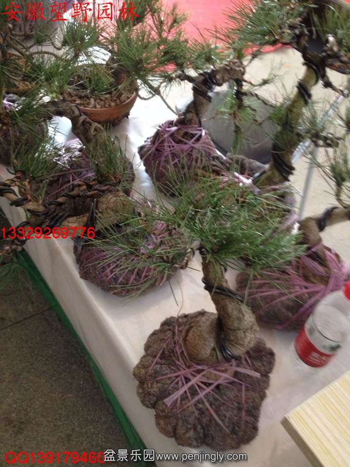 96C8A232A7544634FEFF3FDF1D137176.jpg