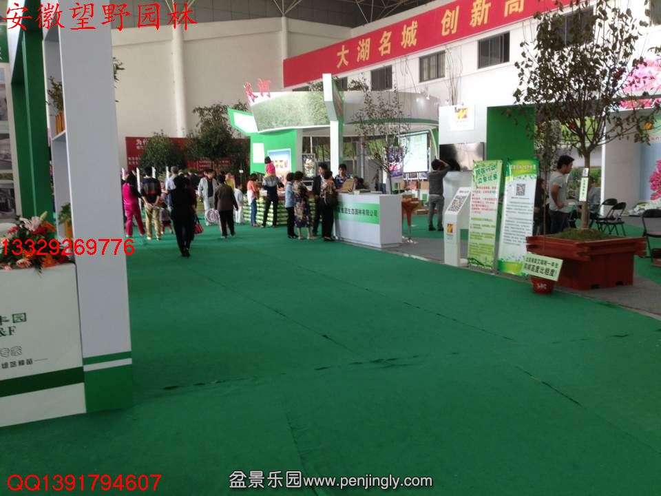7EB6E5CE5743298EA6CC55B4886F536B.jpg