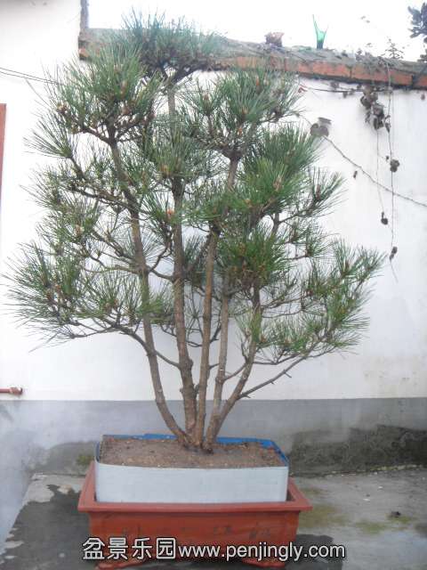 DSC09680.JPG