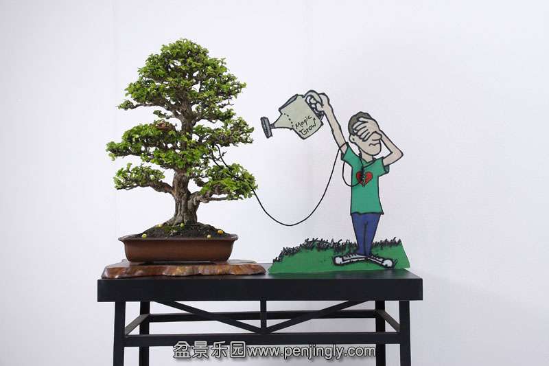 HR_074Bonsai.JPG