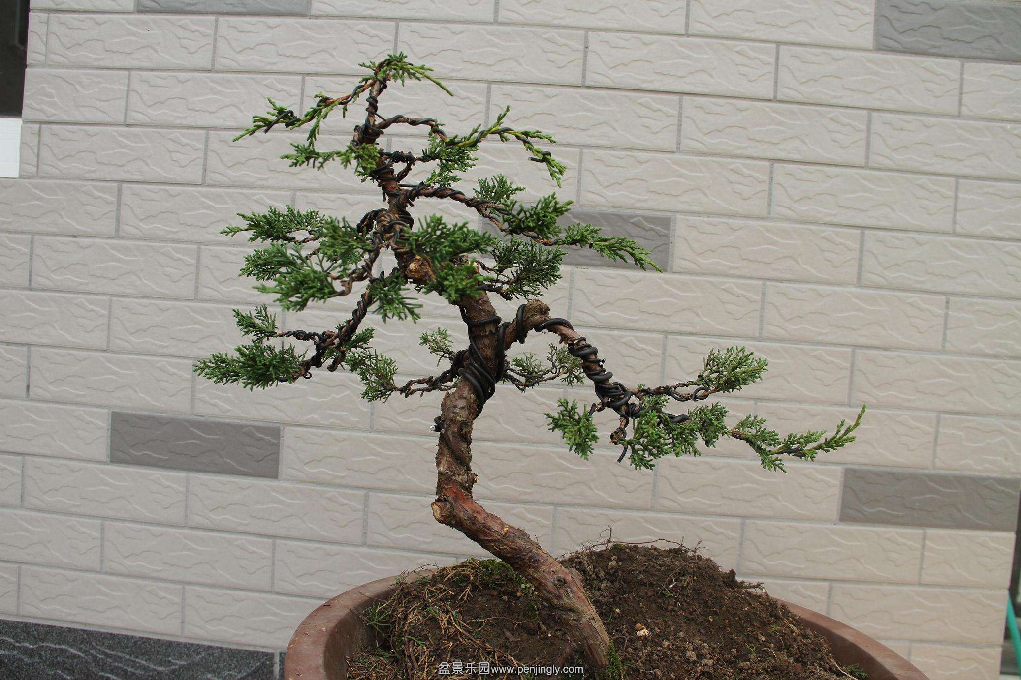 20141020 003.jpg