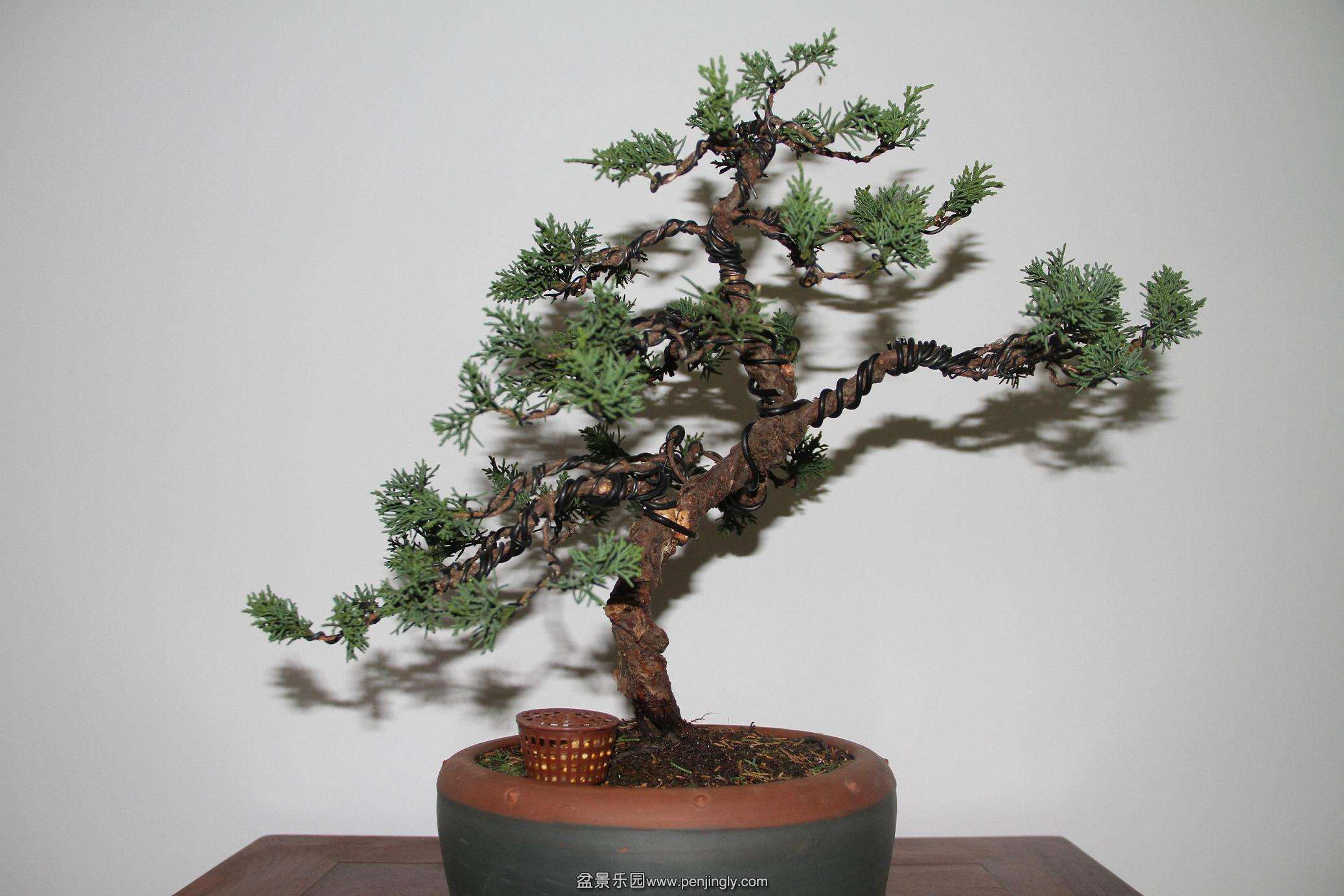 20141026 002.jpg