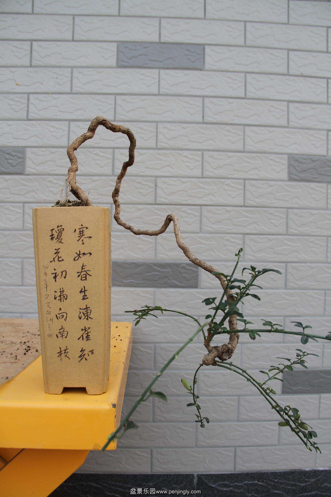 20141026ӭ 002.jpg