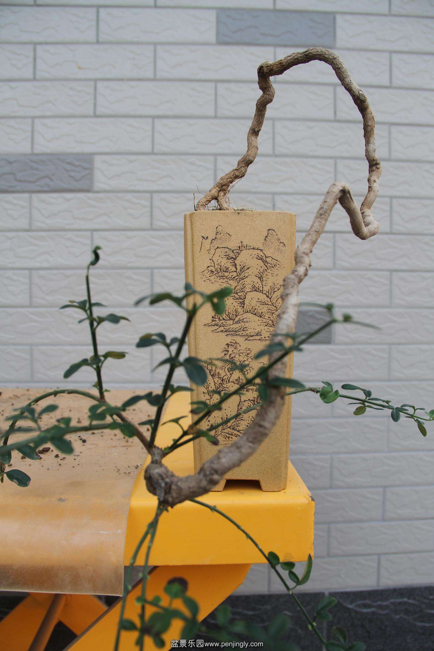 20141026ӭ 003.jpg