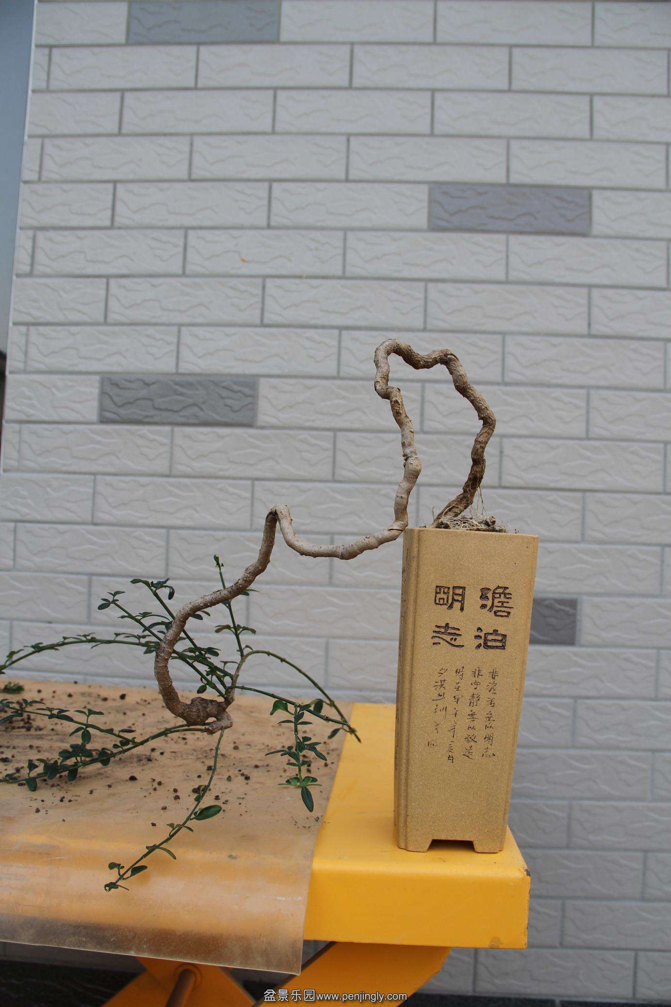 20141026ӭ 004.jpg