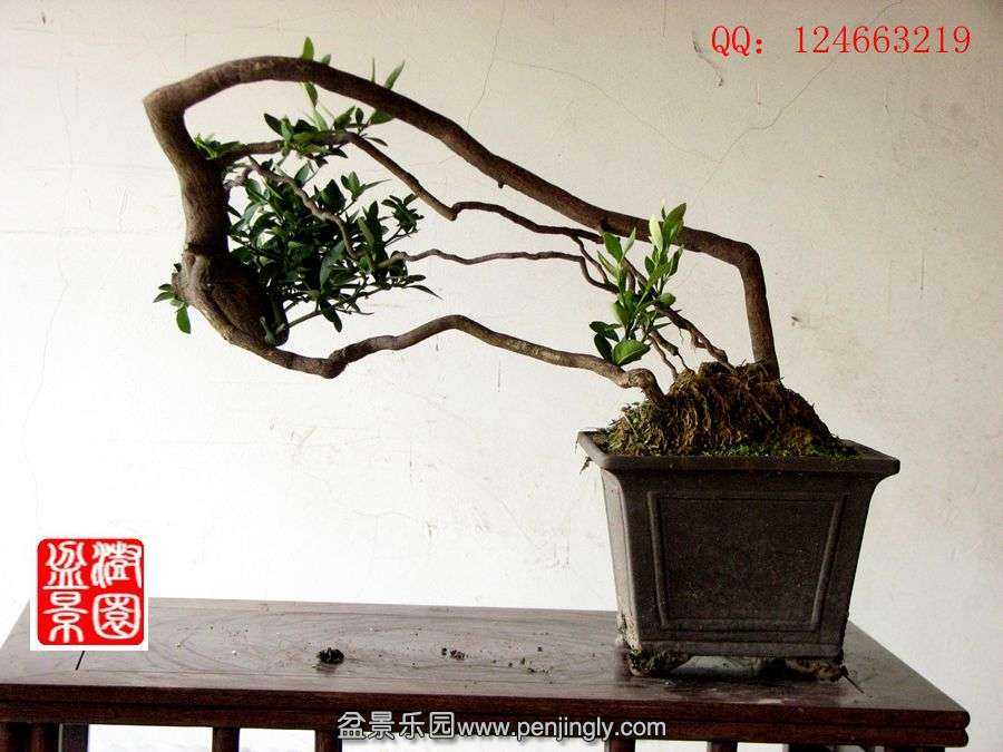 IMG_0224_.jpg