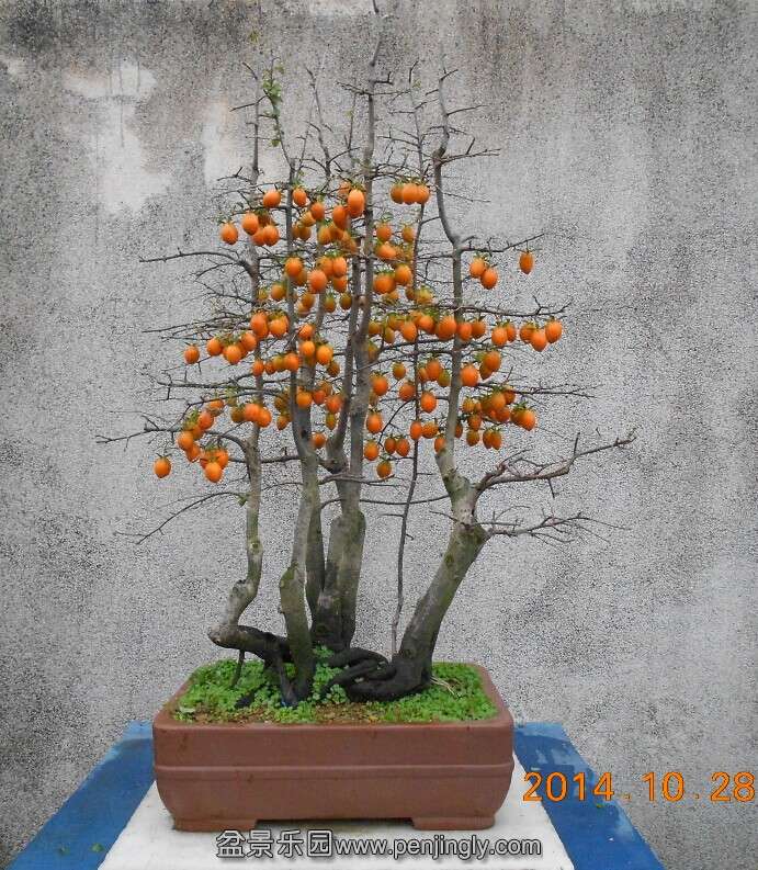 30ѻ׮5.jpg