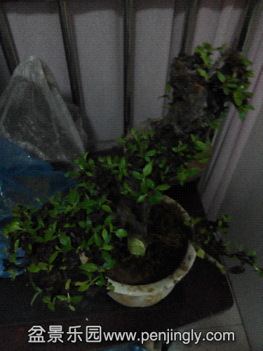 IMG_20141029_000340.jpg