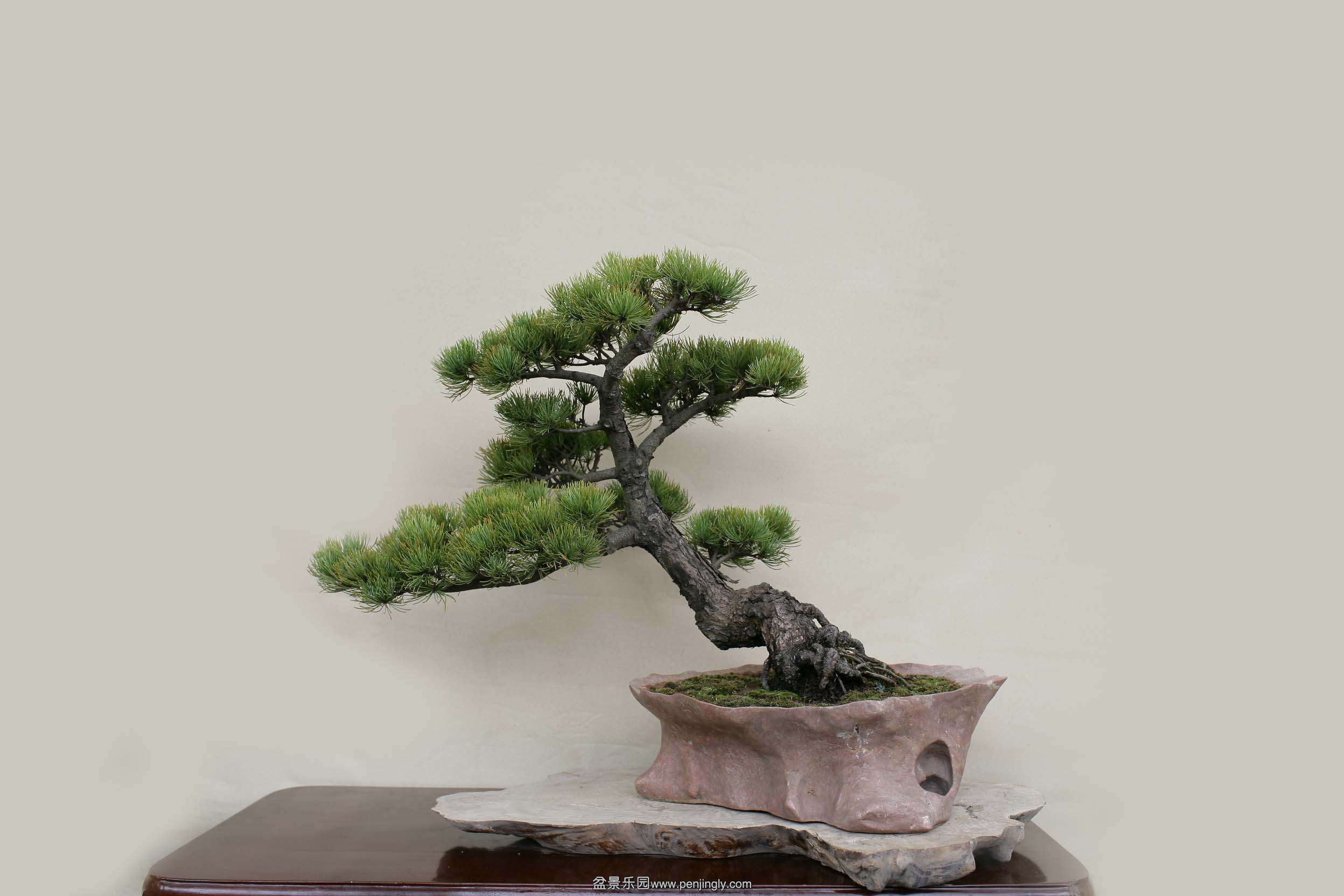 WS8D7445.JPG