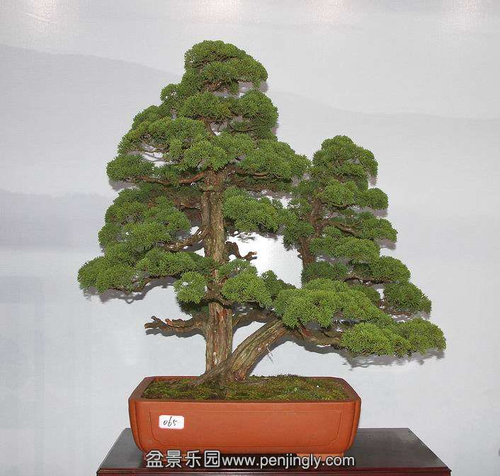 IMG_8612.JPG
