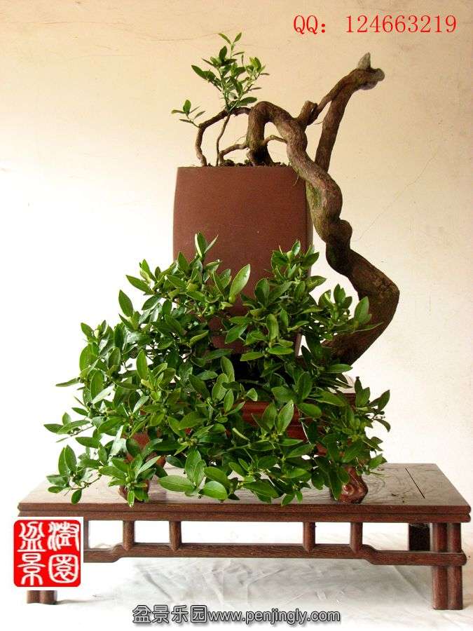 IMG_0234_副本.jpg
