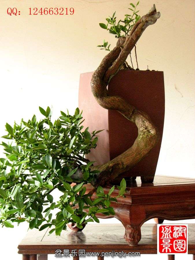 IMG_0238_副本.jpg