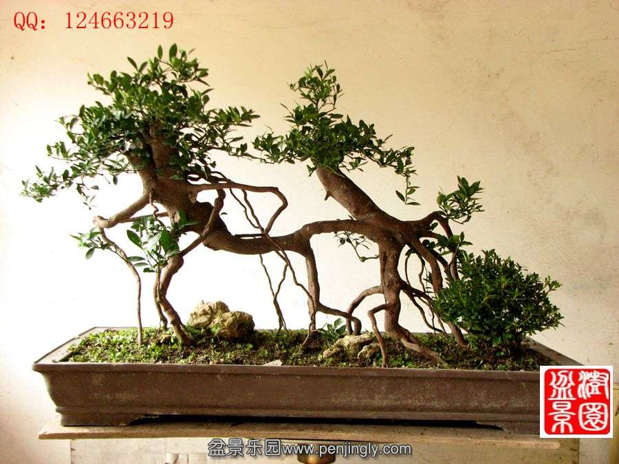 IMG_0287_.jpg