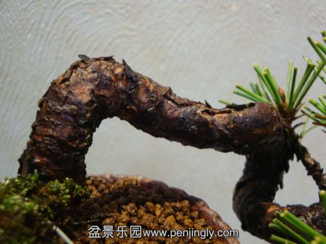 DSC09384.JPG