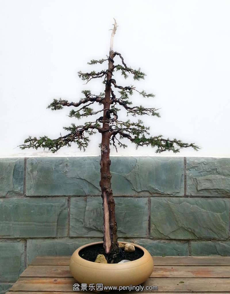 20141101_134216.jpg